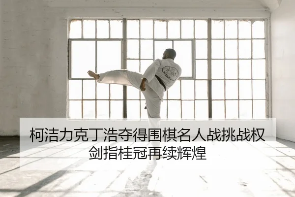 柯洁力克丁浩夺得围棋名人战挑战权 剑指桂冠再续辉煌